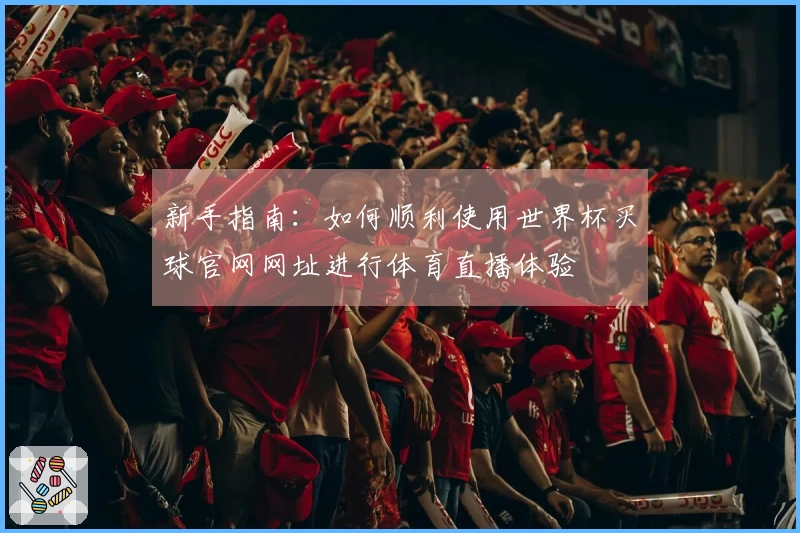 新手指南：如何顺利使用世界杯买球官网网址进行体育直播体验