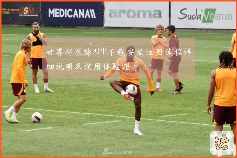 世界杯买球APP下载安装注册流程详细说明及使用体验指导