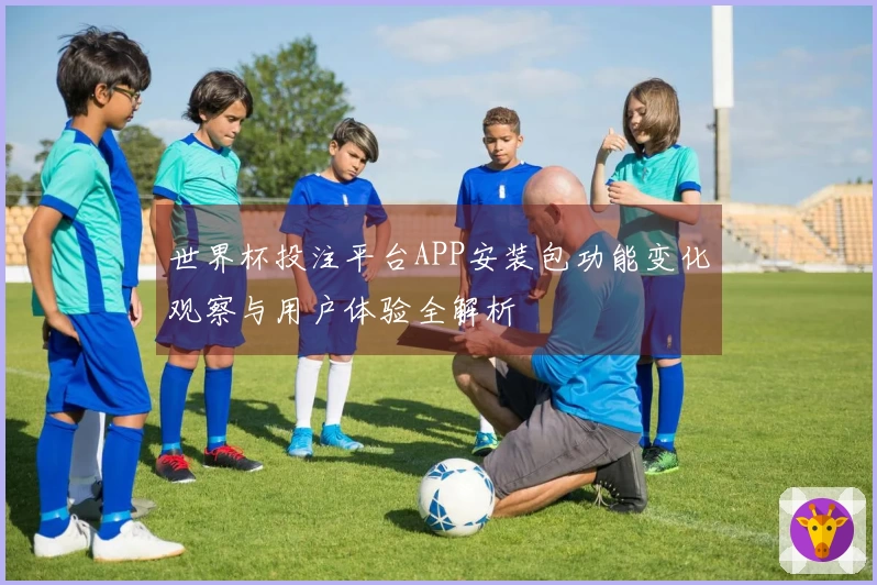 世界杯投注平台APP安装包功能变化观察与用户体验全解析