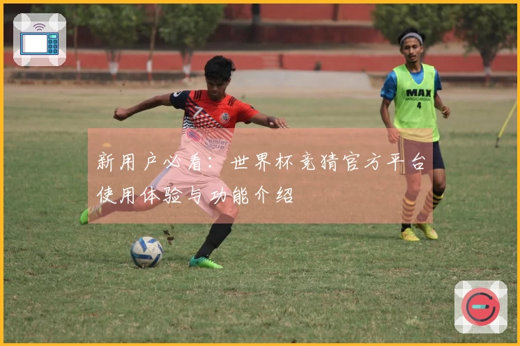 新用户必看：世界杯竞猜官方平台使用体验与功能介绍