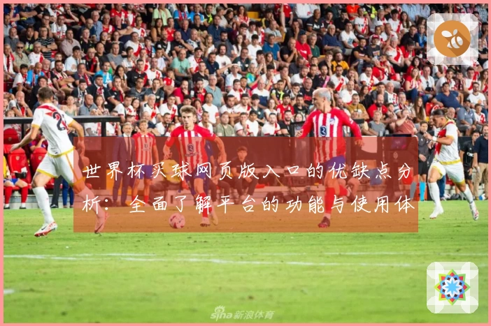 世界杯买球网页版入口的优缺点分析：全面了解平台的功能与使用体验
