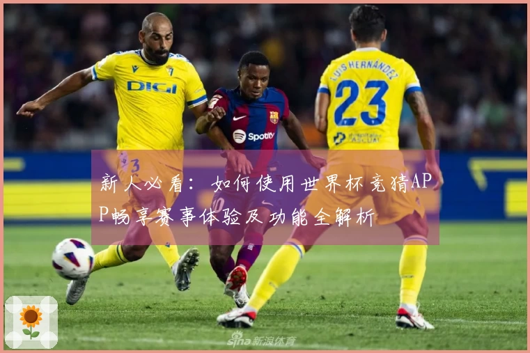 新人必看：如何使用世界杯竞猜APP畅享赛事体验及功能全解析