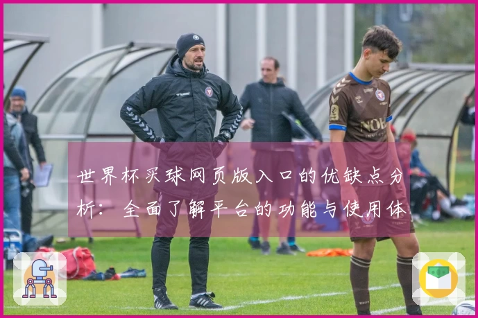 世界杯买球网页版入口的优缺点分析：全面了解平台的功能与使用体验